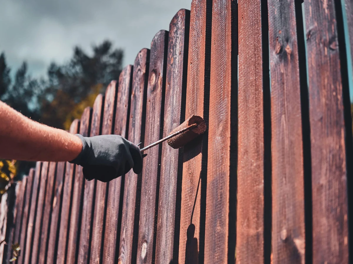 Fence painter treating a wooden garden fence in Richmond upon Thames